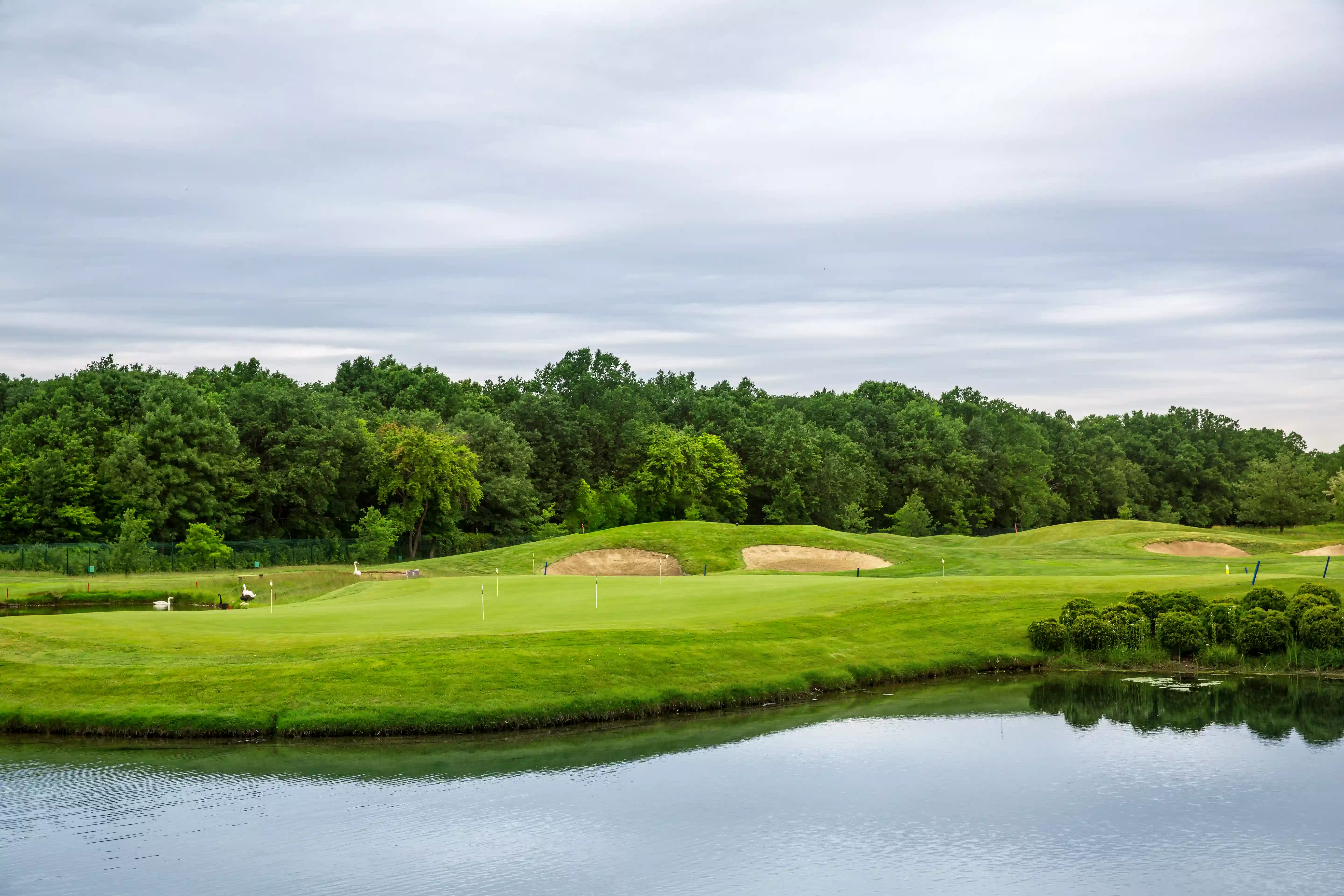 Golf Course Landscape